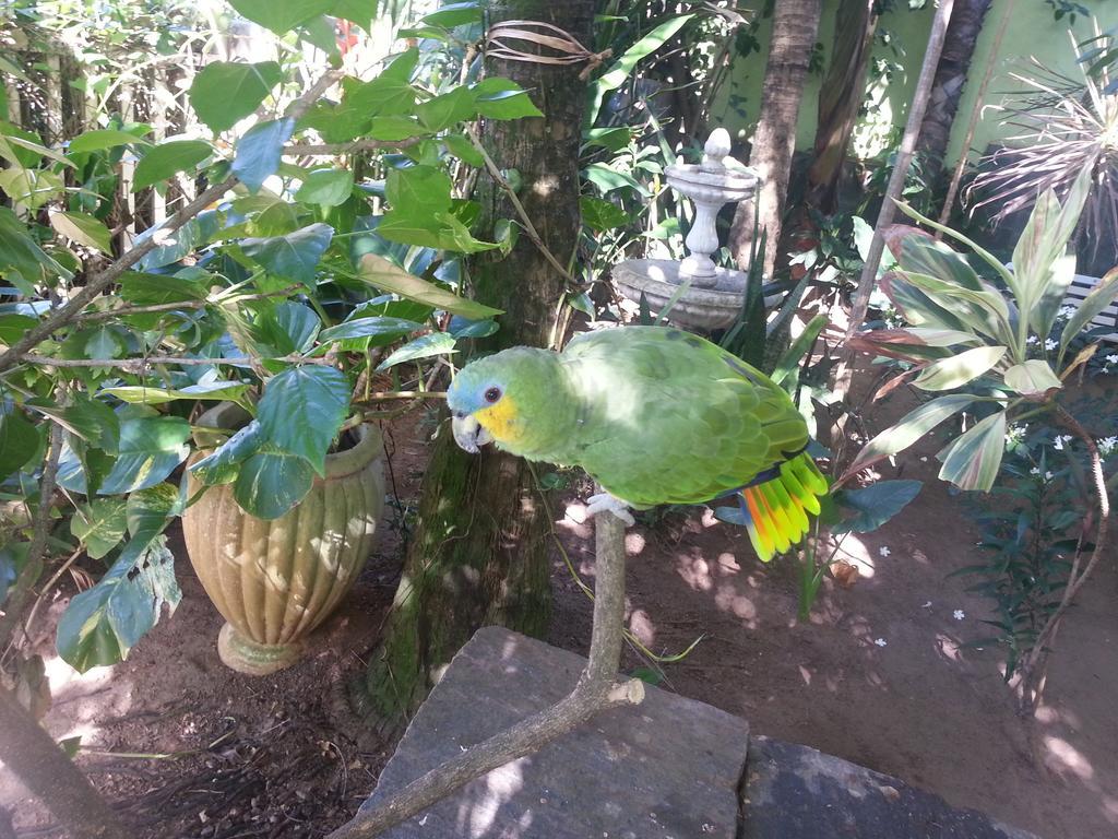 Hotel Pousada Papaya Verde Salvador Eksteriør billede