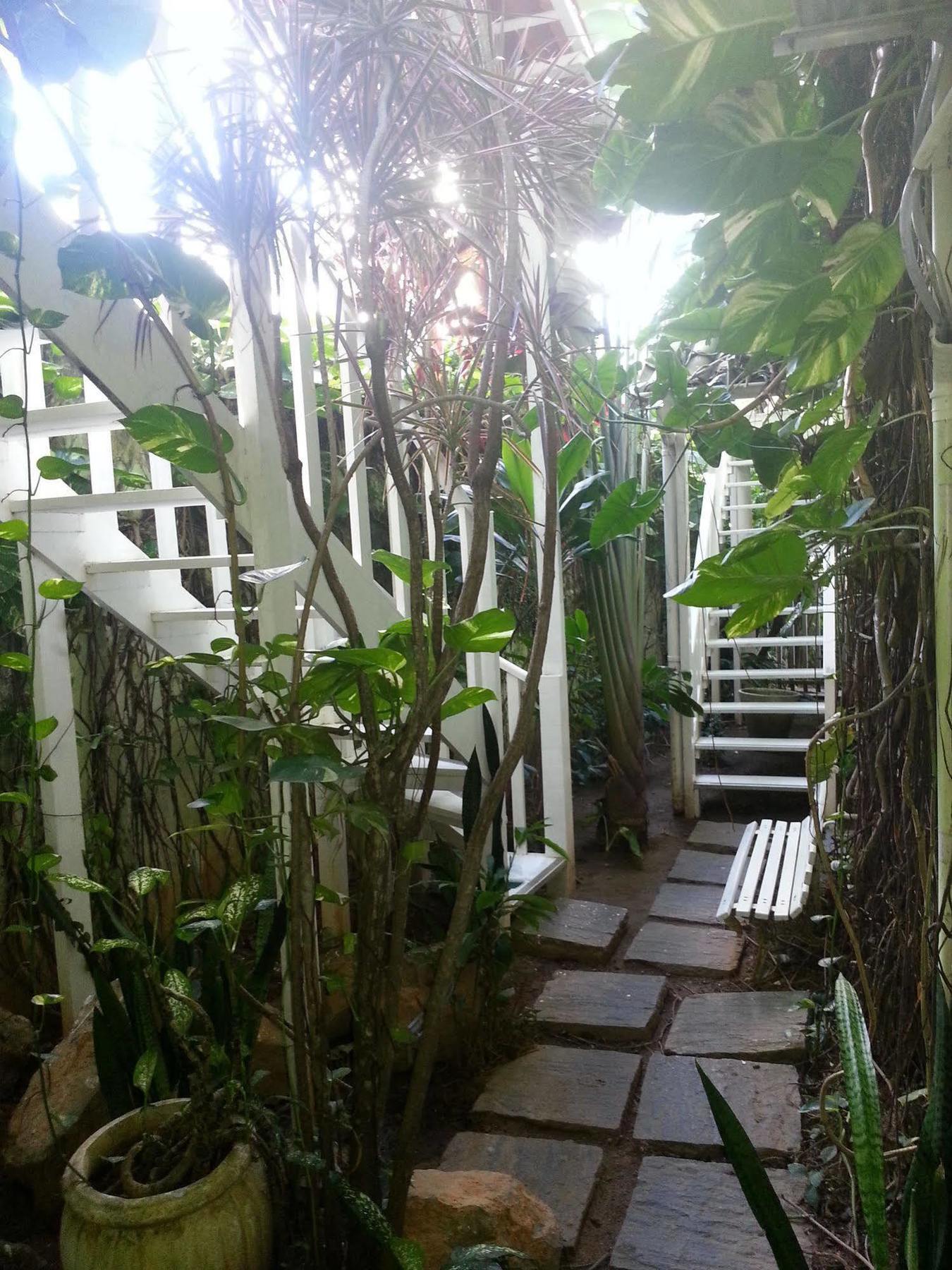 Hotel Pousada Papaya Verde Salvador Eksteriør billede
