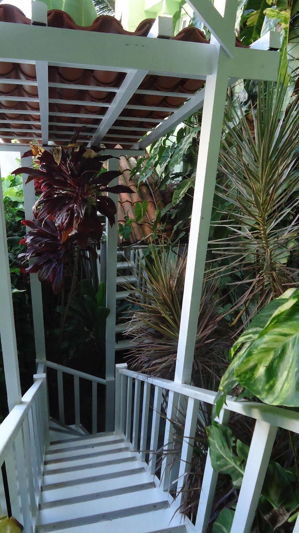 Hotel Pousada Papaya Verde Salvador Eksteriør billede